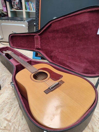 Guitare & housse